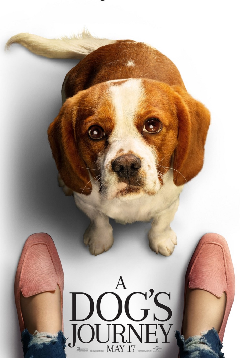 A DOG'S JOURNEY poster