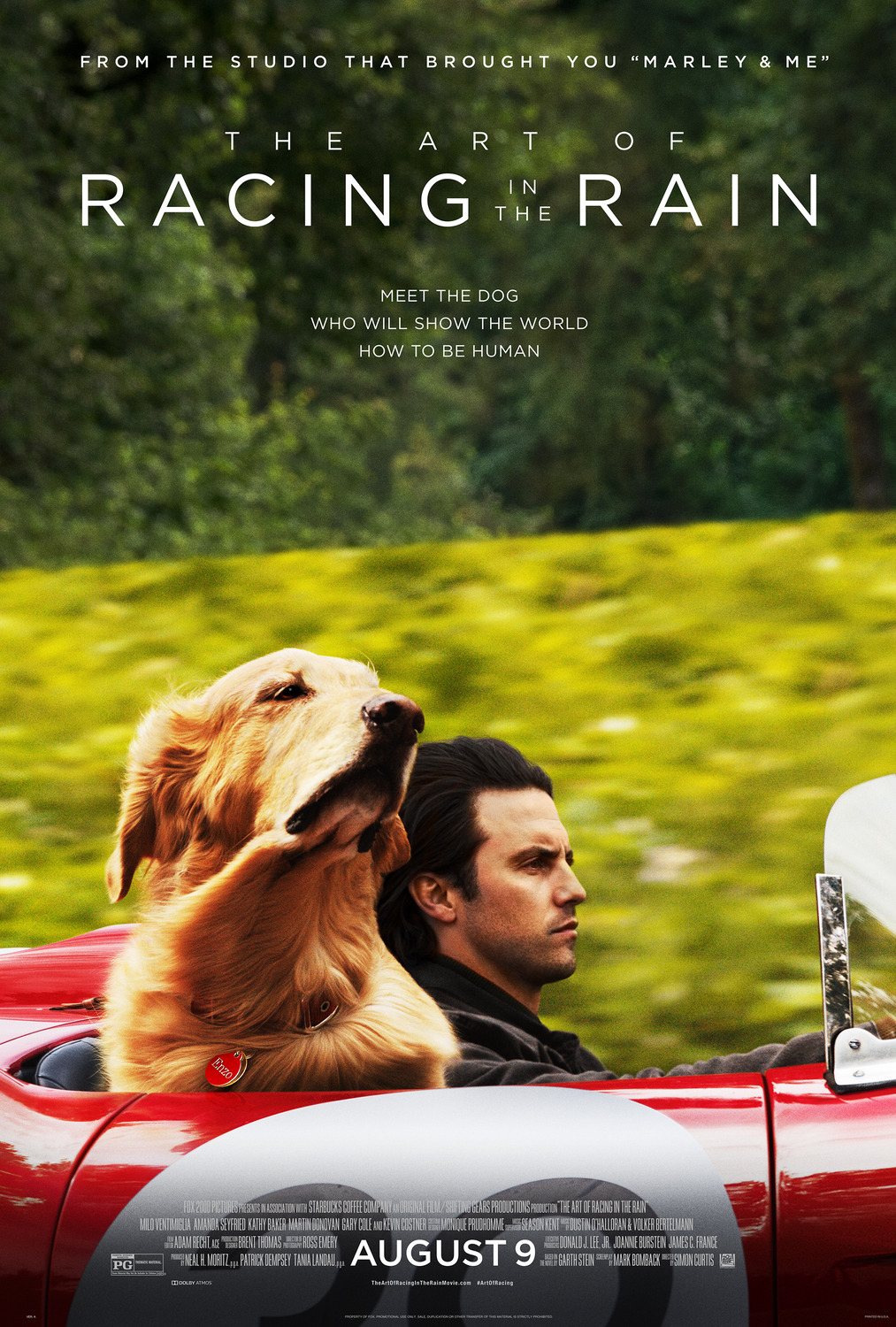 THE ART OF RACING IN THE RAIN poster