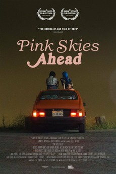 PINK SKIES AHEAD poster